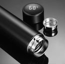 Termo de Acero Digital